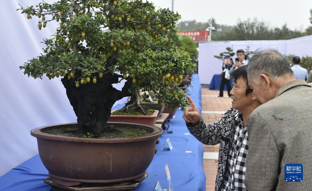 老虎机后面4个键作用
